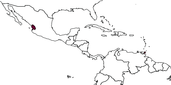 map of Braunilla nayaritana     (Evans, 1966)
